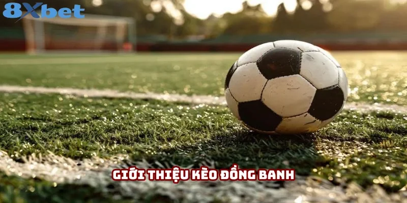 Định nghĩa cần biết về kèo đồng banh