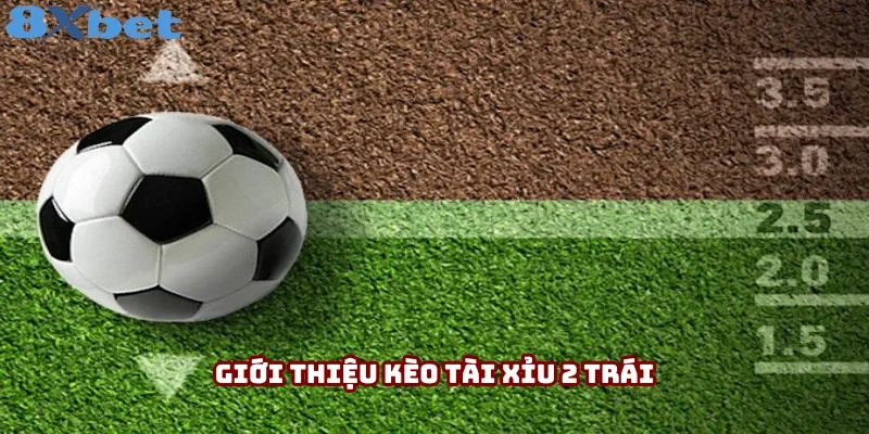 Thông tin giới thiệu kèo tài xỉu 2 trái