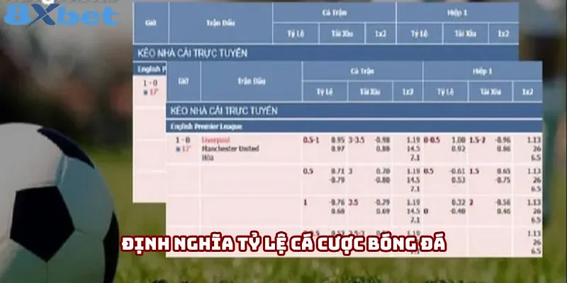Thông tin định nghĩa tỷ lệ cá cược bóng đá